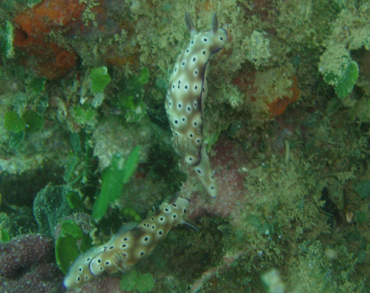 d0065247_23183527.jpg