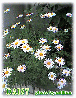 c0025852_14473972.gif