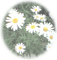 c0025852_15185284.gif
