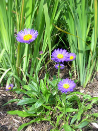 f0032969_17203715.jpg