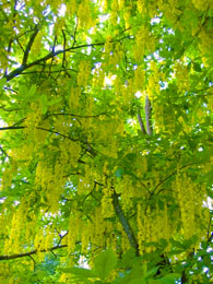 f0032969_1747583.jpg