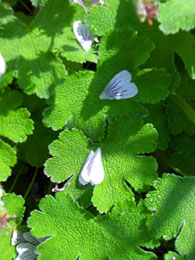 f0032969_1815864.jpg