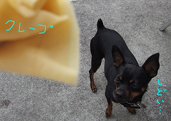 c0012571_23303622.gif