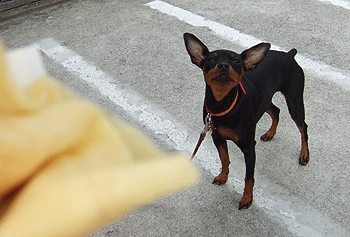 c0012571_23305932.gif