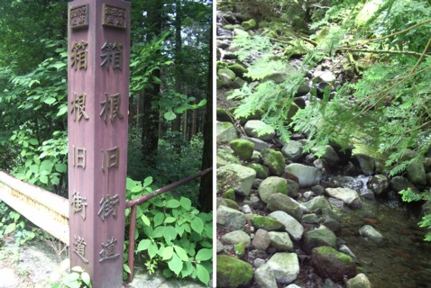 e0023471_12531110.jpg