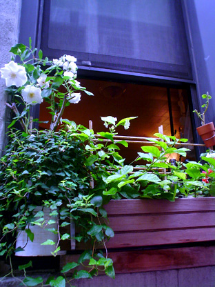 f0056476_23281146.jpg