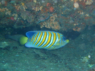 a0002177_01051.jpg