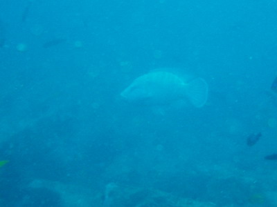 a0002177_015621.jpg