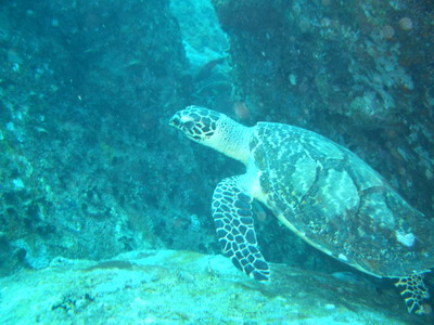 a0002177_032921.jpg