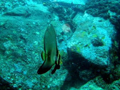 a0002177_034926.jpg
