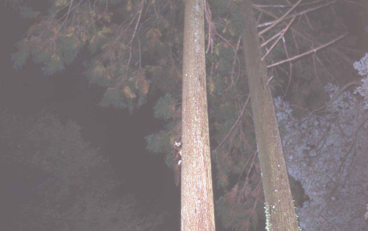 f0047593_142417.jpg