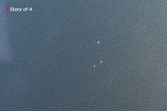 c0021694_1052718.jpg