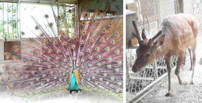 d0073700_23594537.jpg