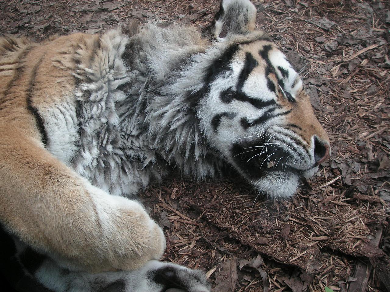 e0010302_15241472.jpg