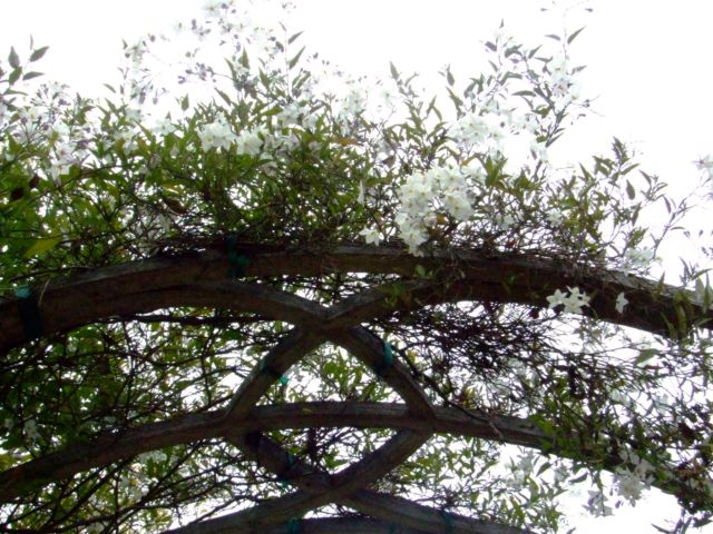 c0062603_16263735.jpg