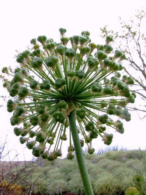 c0062603_16294859.jpg