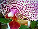 d0050007_19523071.jpg