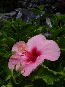 d0026209_21561369.jpg