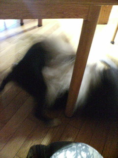 f0090009_729929.jpg
