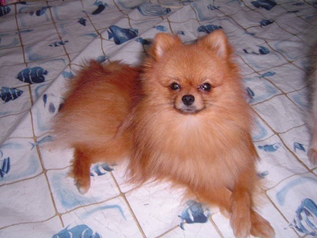 f0012924_8292162.jpg