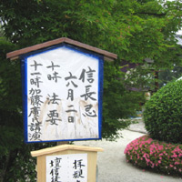 d0033734_1163144.jpg