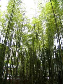 f0075537_2037747.jpg
