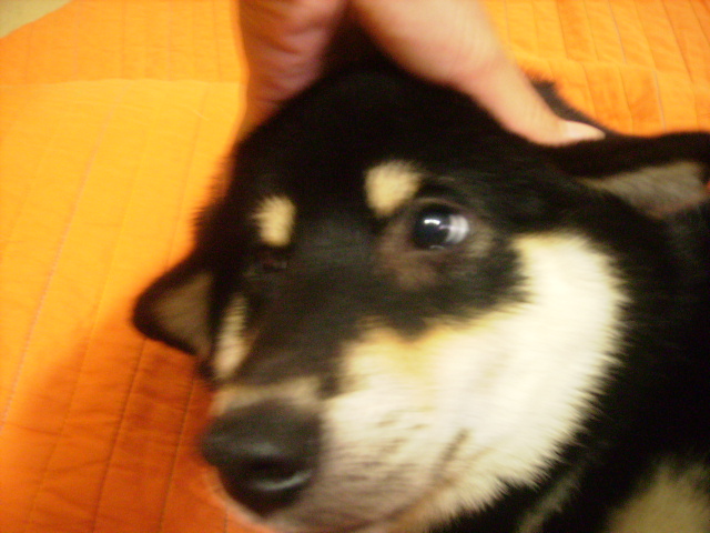 f0058241_213339.jpg