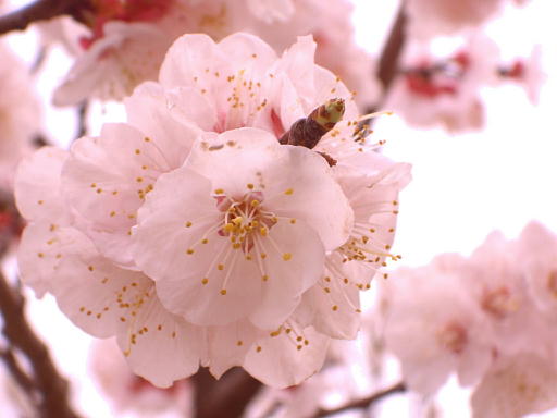 b0016043_22373977.jpg