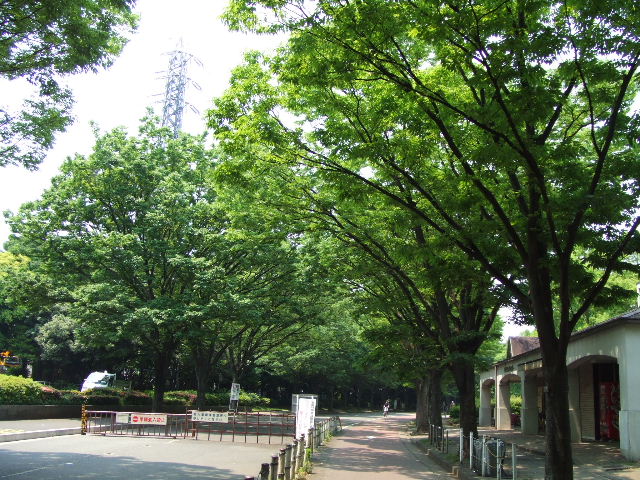 c0071545_2391337.jpg