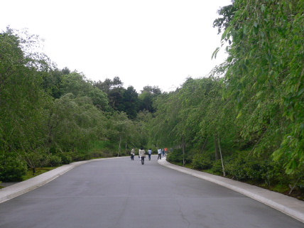 a0063364_16394346.jpg