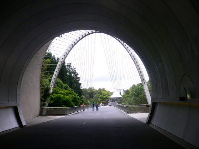 a0063364_16462494.jpg