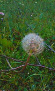 e0058280_10521374.jpg