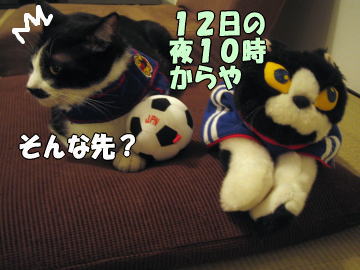 b0041182_22551864.jpg