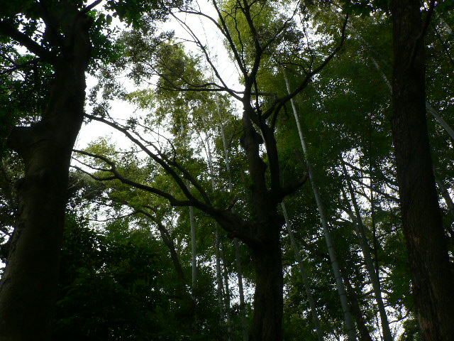 d0061286_042945.jpg