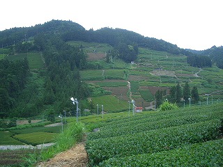 f0011490_18341110.jpg