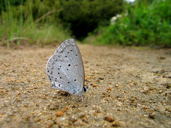 d0001300_220461.jpg