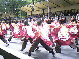 e0005201_2022433.jpg