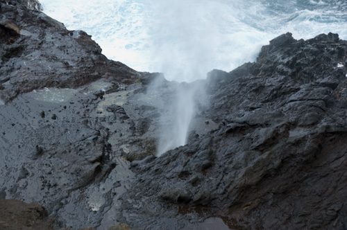 a0044202_19512829.jpg
