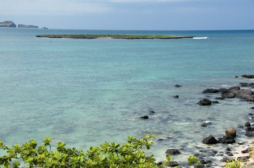 a0044202_2084074.jpg