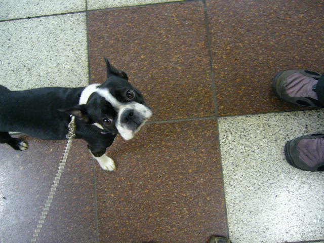 d0070702_2130433.jpg