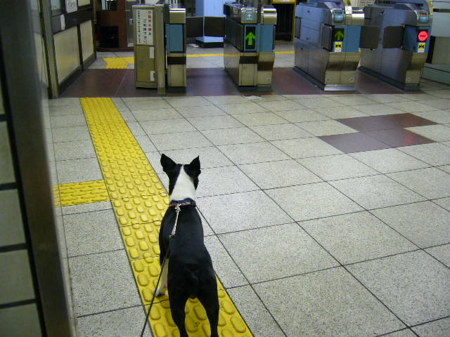 d0070702_21342812.jpg
