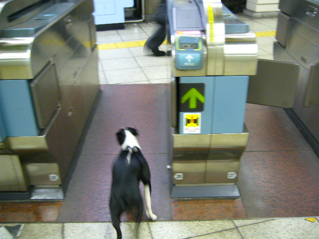 d0070702_21363973.jpg