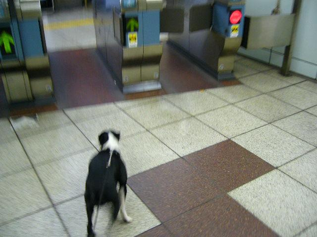 d0070702_2136563.jpg