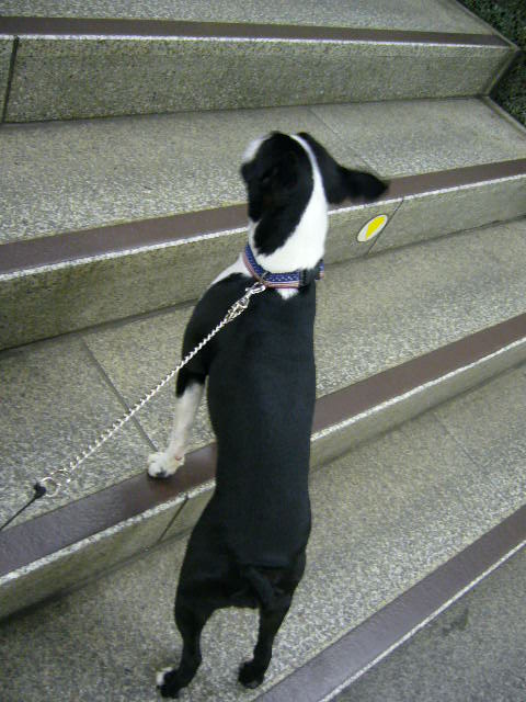 d0070702_21412244.jpg