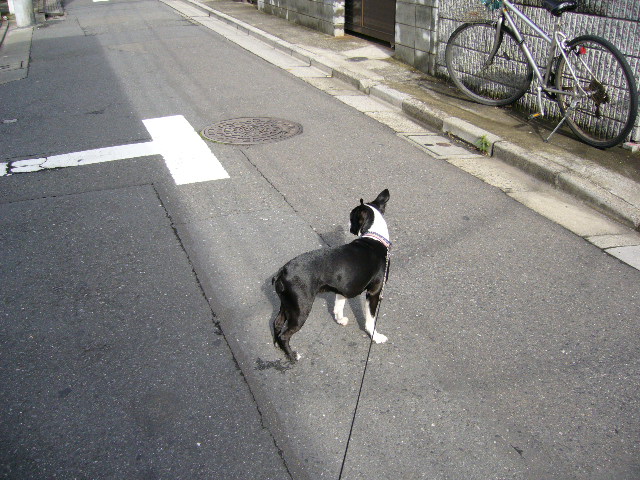 d0070702_2146588.jpg