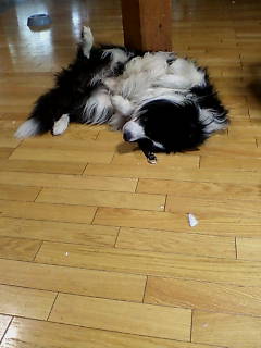 f0090009_18565367.jpg
