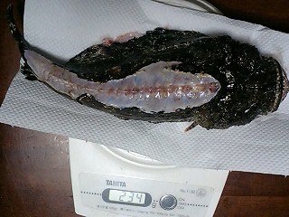 e0026017_23195471.jpg