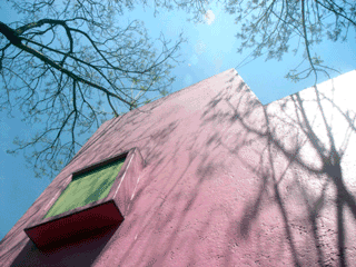 b0010831_19371689.gif