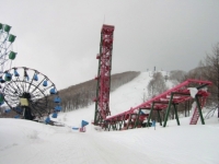 b0042132_18135264.jpg