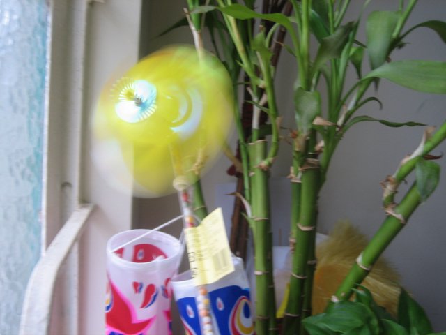e0018143_5165278.jpg
